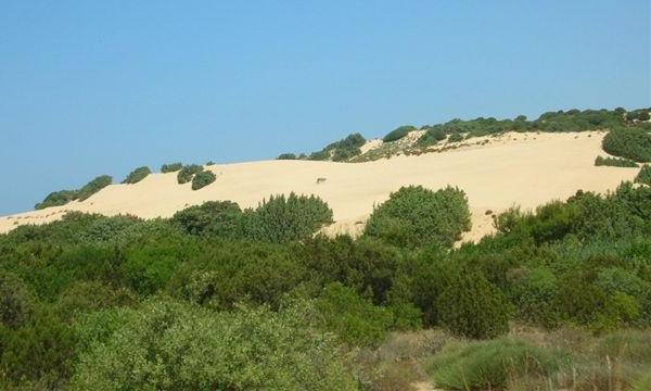 Dune di Piscinas